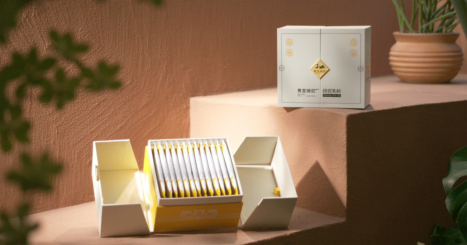 定位小众高端乳粉，彩霸王官网推出驼奶品牌“黄金骆驼+”，角逐乳品新市场！