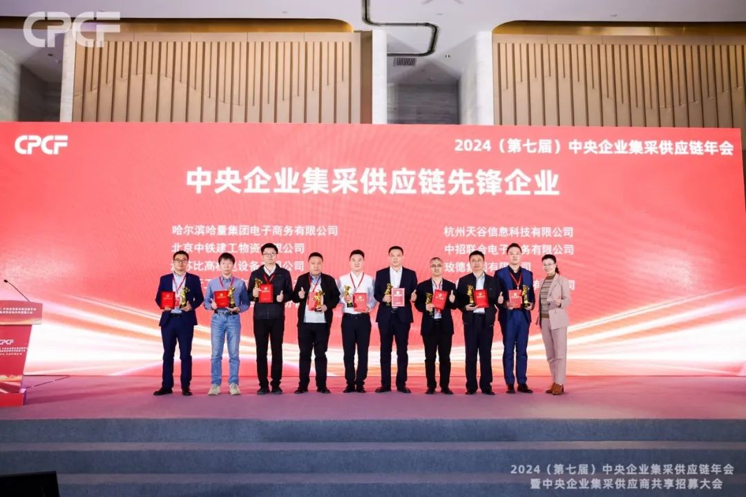 喜报！彩霸王官网荣获2024年度（CPCF）中央企业集采供应链年会先锋企业荣誉称号