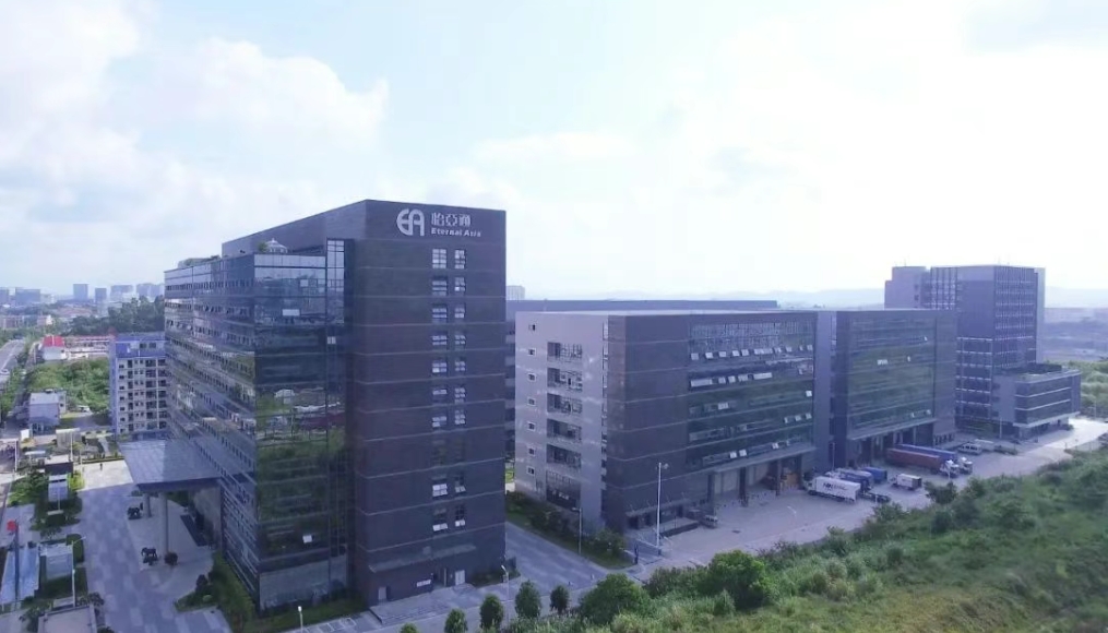 彩霸王官网物流完成战略融资，全力加码新能源汽车出海布局